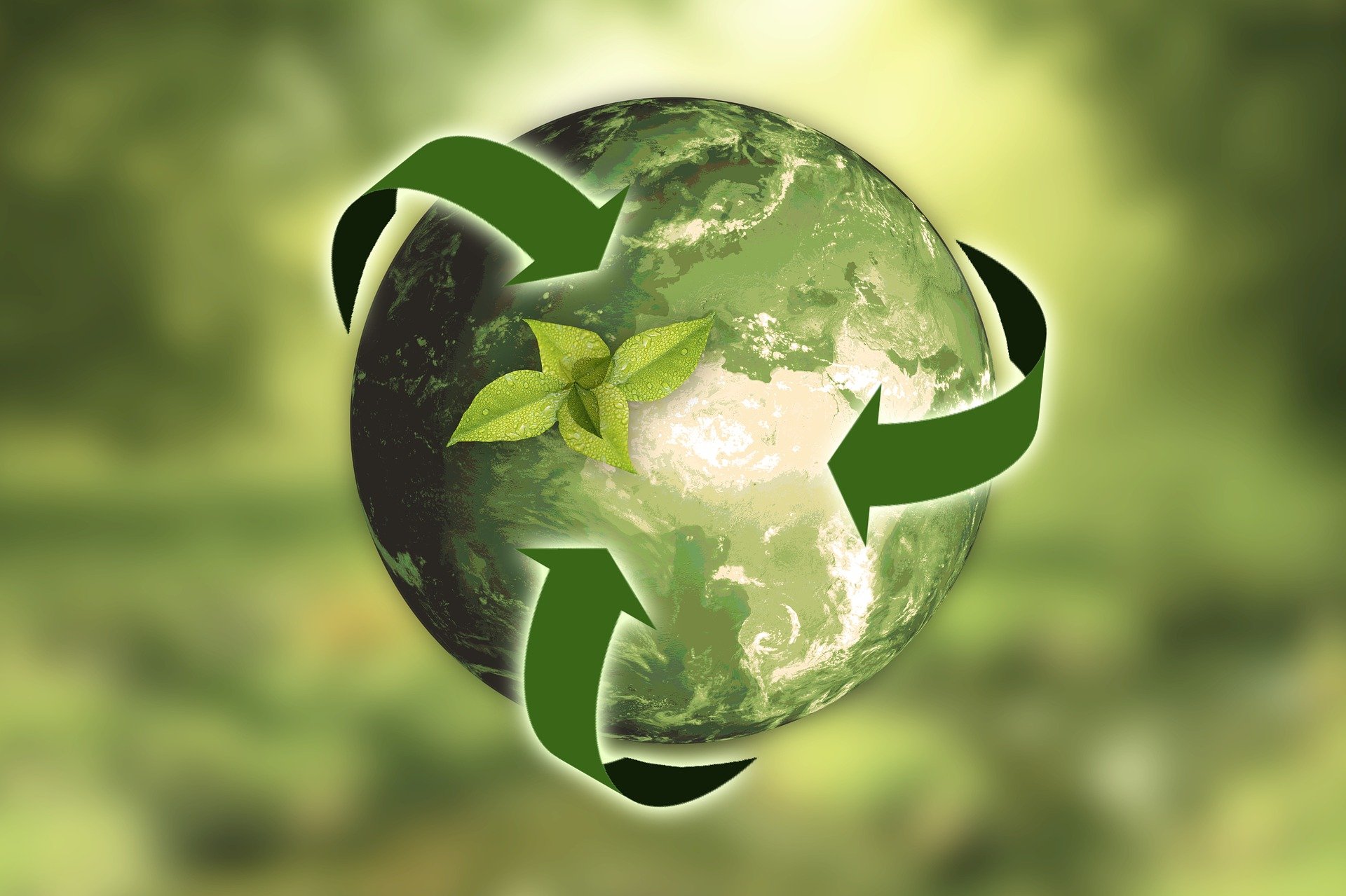 Nachhaltigkeit Erde